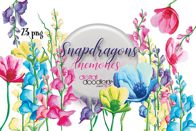 Snapdragons & Anemones