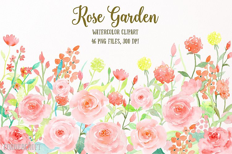 Watercolor Flower Collection Rose Garden, Watercolor Clipart