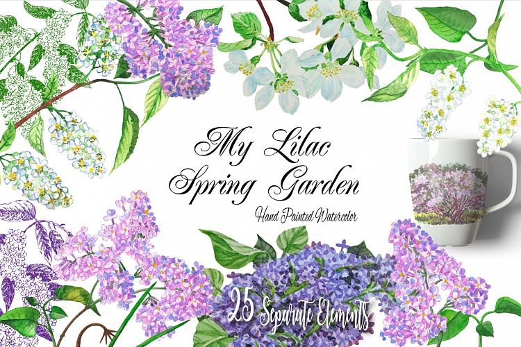 My Lilac Spring Garden