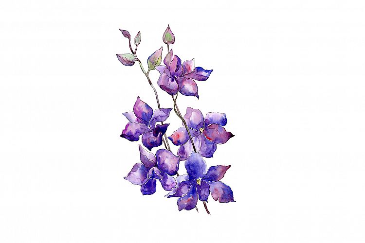 Bouquet of purple flowers PNG watercolor set