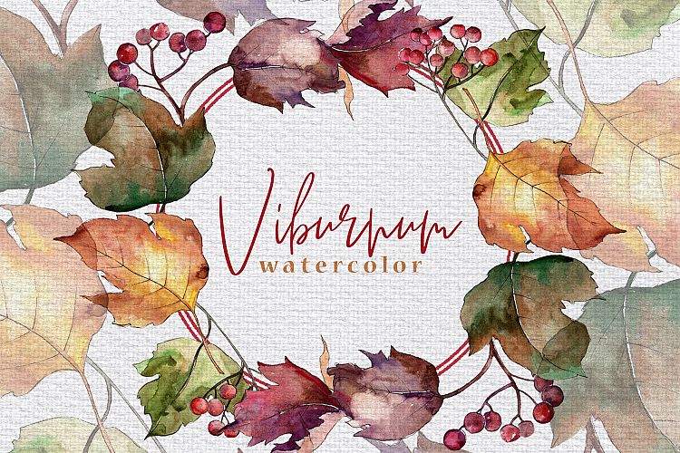 Autumn viburnum leaves PNG watercolor set