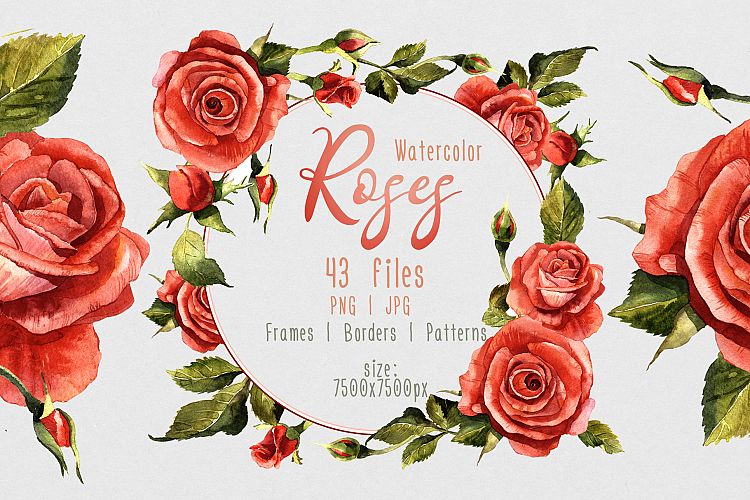 Red roses PNG watercolor flower set