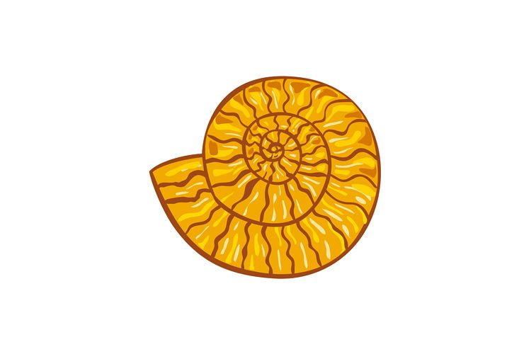 Ammonite Retro