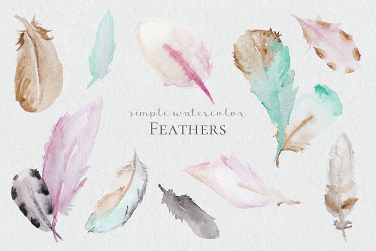 Watercolor Feathers