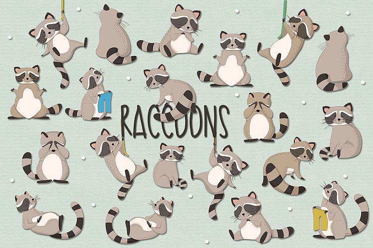 Raccoon Clipart