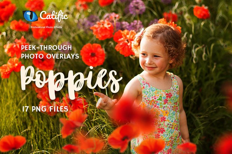 17 Poppie Flowers Photo Overlays