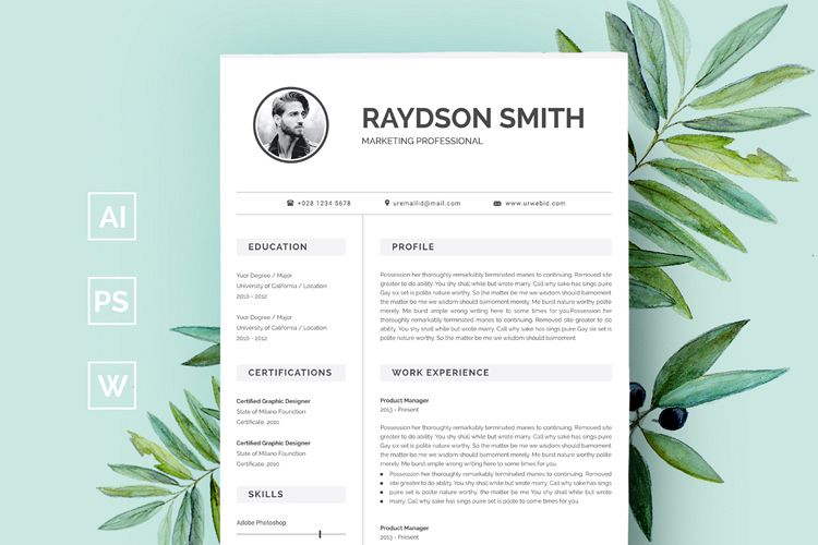 Clean Resume/CV