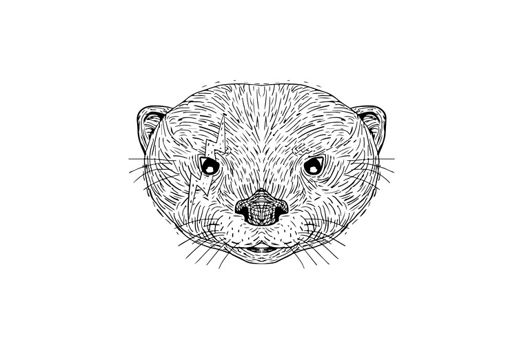 Asian Small Clawed Otter Black and White Mascot