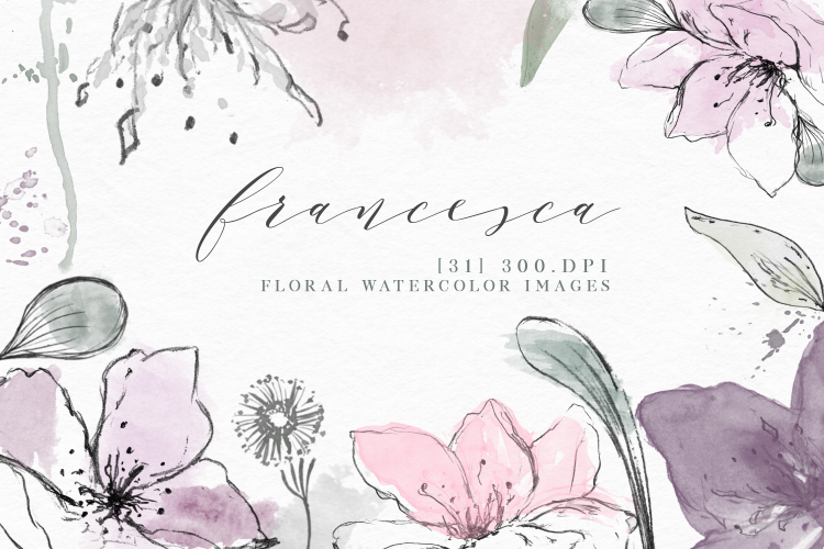 Francesca - Watercolor Floral Elements