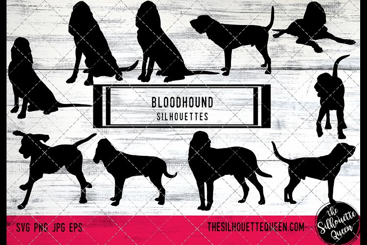 Bloodhound Dog svg files cricut, silhouette clip art, Vector