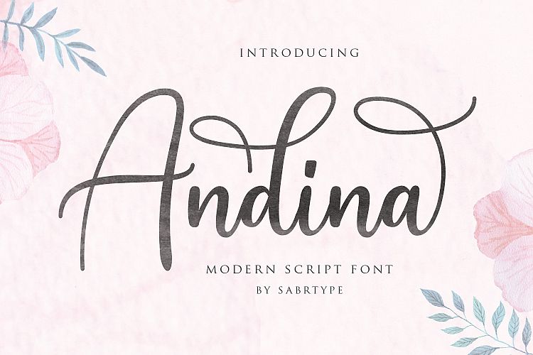 Anndina - Modern Script Font