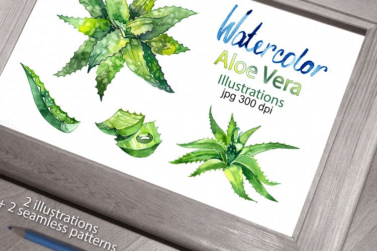 Watercolor aloe vera set