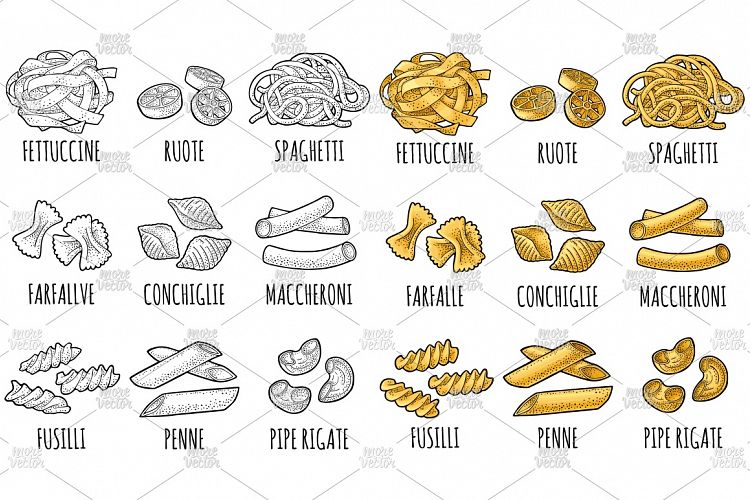 Set with different types of pasta. Vector vintage engraving