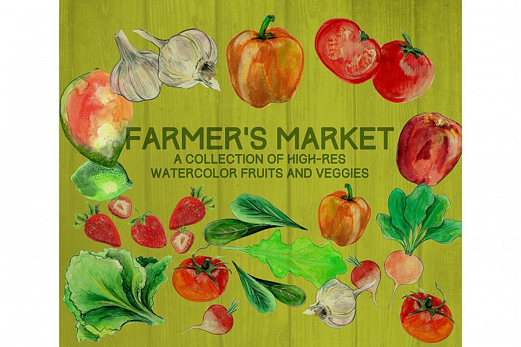 Farmers Market Watercolor Illustrations