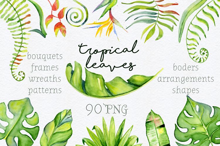 Tropical leaves Watercolor clipart