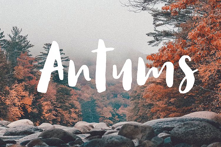 Antums Brush Fonts