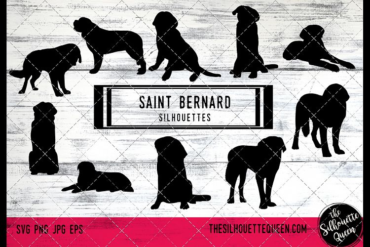 Saint Bernard Dog svg files cricut, silhouette clip art, Vec