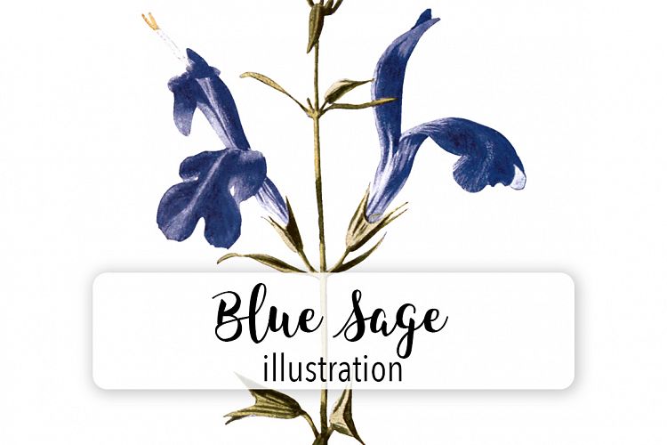 Florals - Vintage Blue Sage