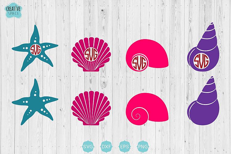 Seashells Svg, Seashell Monogram Svg,