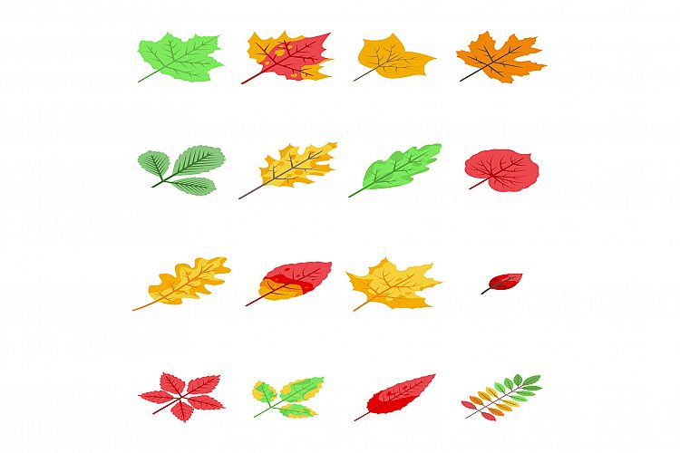 Oak Leaf Clipart Image 2