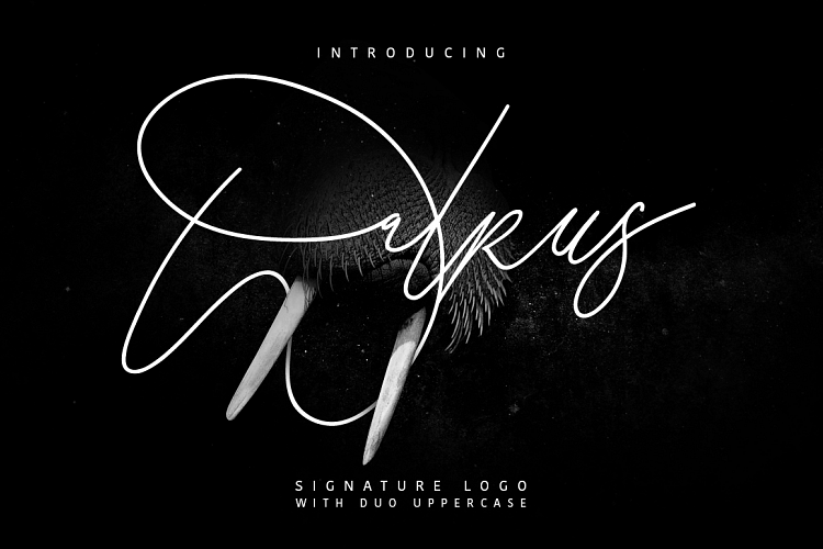 Walrus Typeface Signature