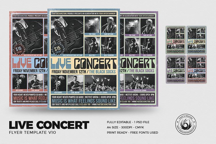 Live Concert Flyer Template V10