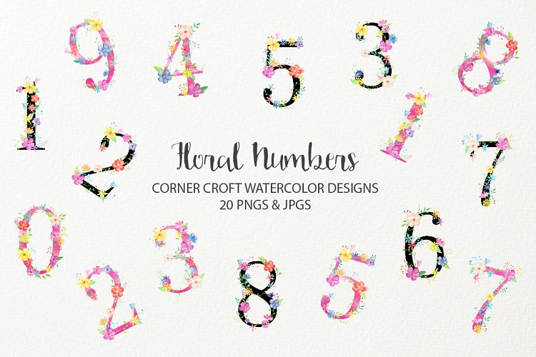 Watercolor Floral Number Illustration