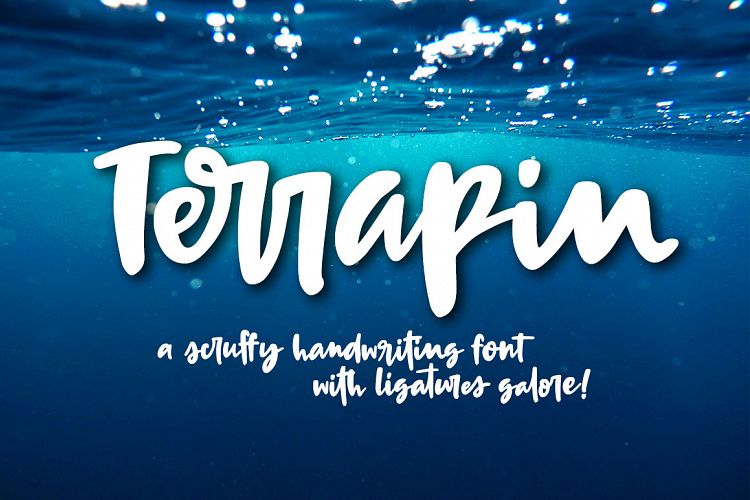 Terrapin: a scrappy handwriting font!