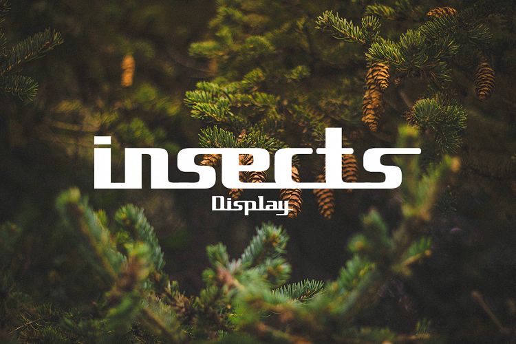 insects font