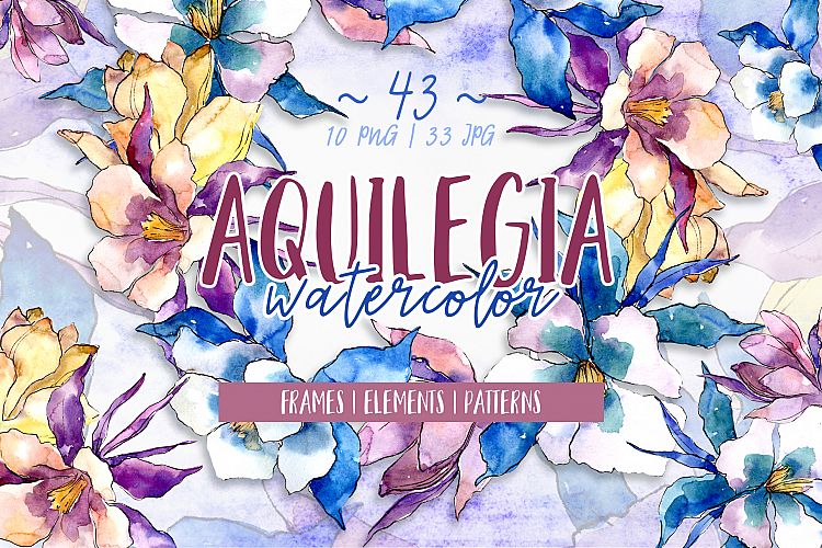 Beautiful aquilegia PNG watercolor set