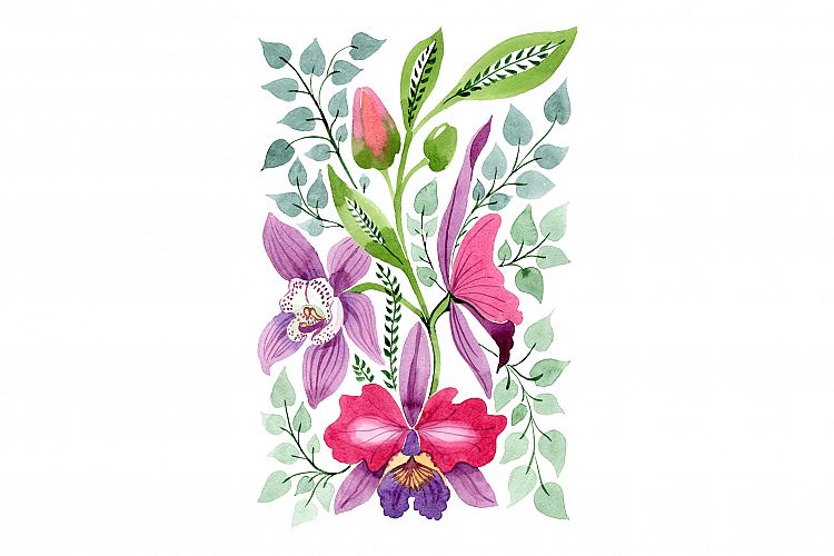 Floral Ornament of Orchid Flowers PNG set