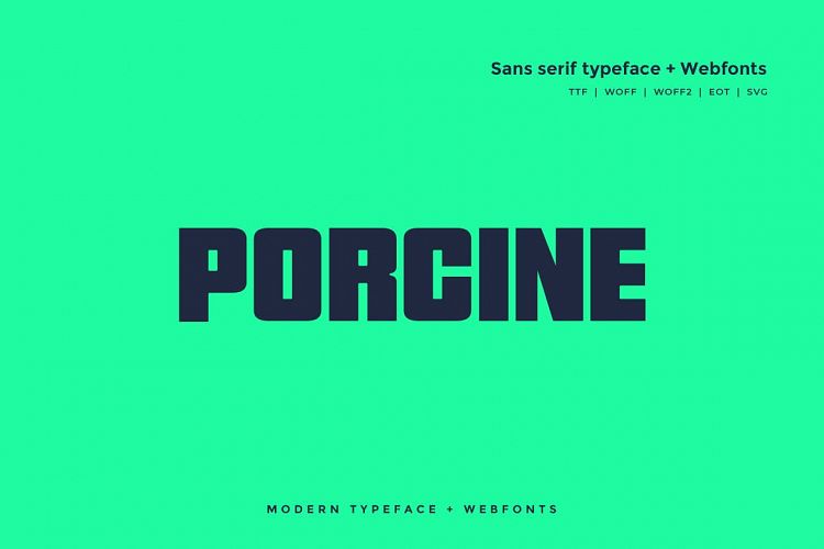 Porcine - Modern typeface with WebFont