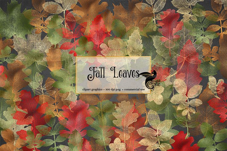 Fall Leaves Clipart example image 1