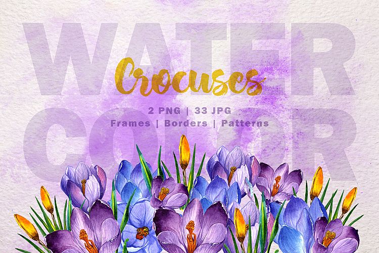 Blue and purple crocuses PNG watercolor set