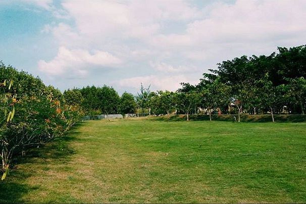 mixed photos of people and nature