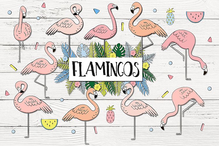 Flamingo Clipart