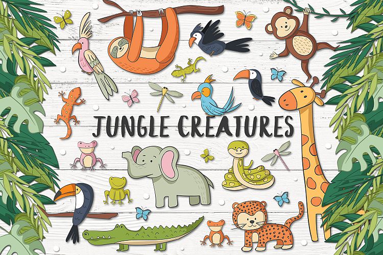 Jungle Clipart