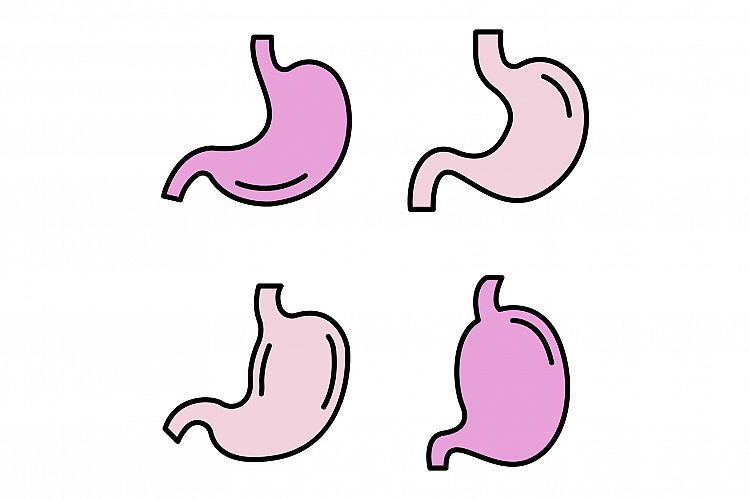 Stomach icons vector flat example image 1