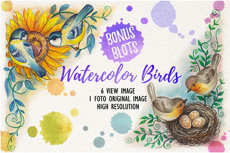 watercolor birds