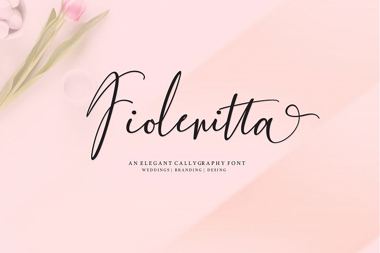 NEW Fiolenitta