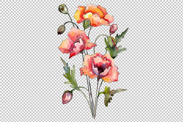 Bouquet of red poppies PNG watercolor set