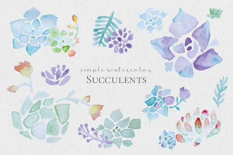 Watercolor Succulents