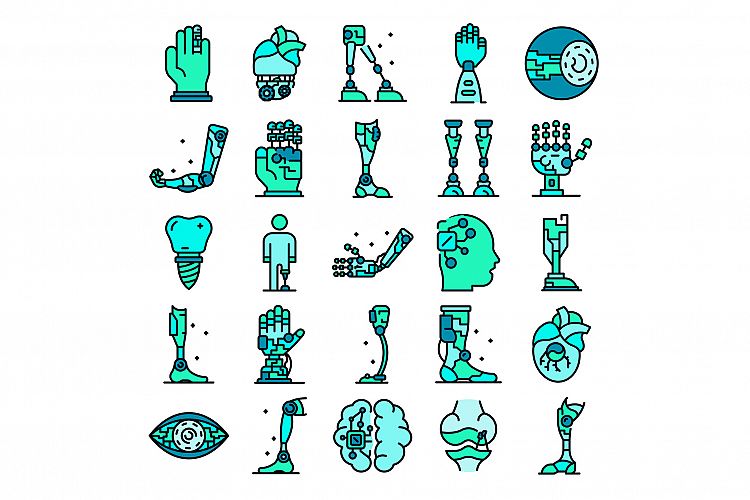 Kidney Clipart Image 14