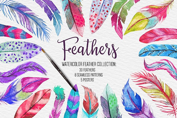 Watercolor Feathers Clipart, Pattern, Poster Collection