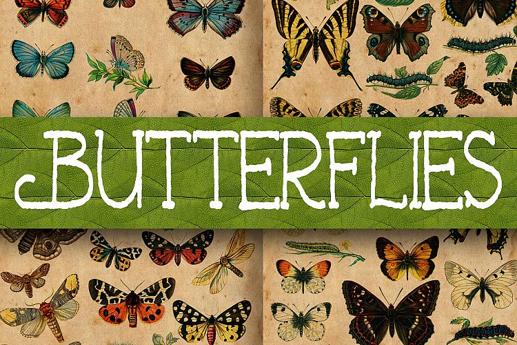 Vintage Butterfly Scientific Plates Digital Paper