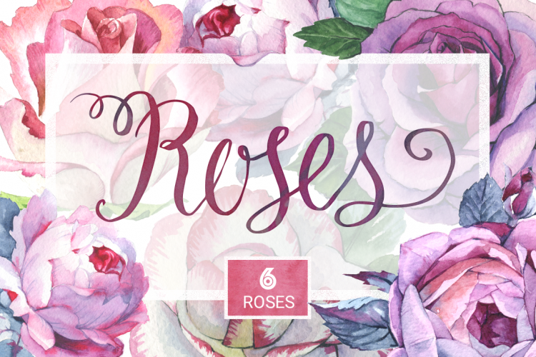 Romantic set of 6 PNG watercolor roses