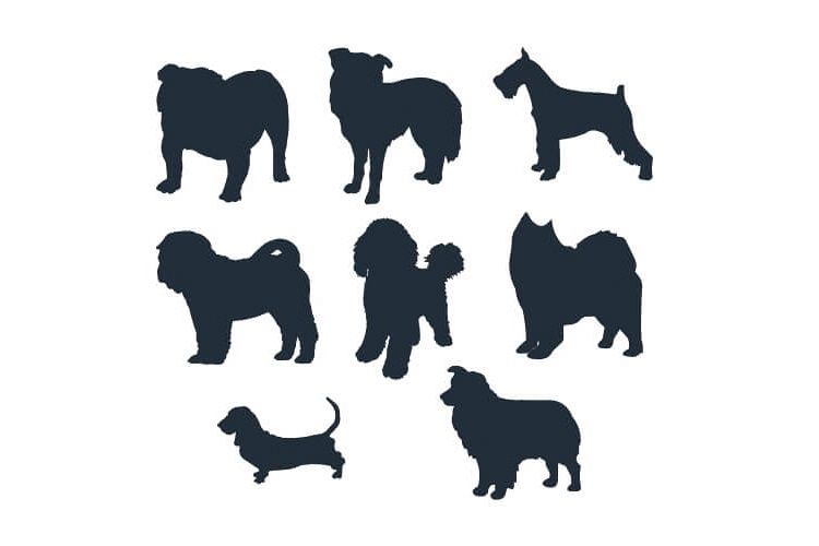 Dog Silhouette Embroidery Bundle Medium Dog Breed Set of 8