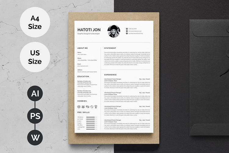 Clean Professional Resume/CV