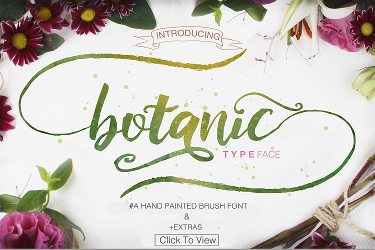 Botanic Swashes Font   Extras