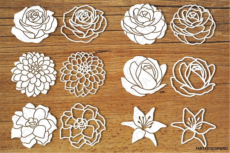 Flowers (set 2) SVG files for Silhouette Cameo and Cricut. Flowers clipart PNG transparent included.